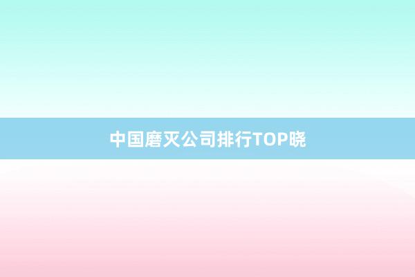 中国磨灭公司排行TOP晓