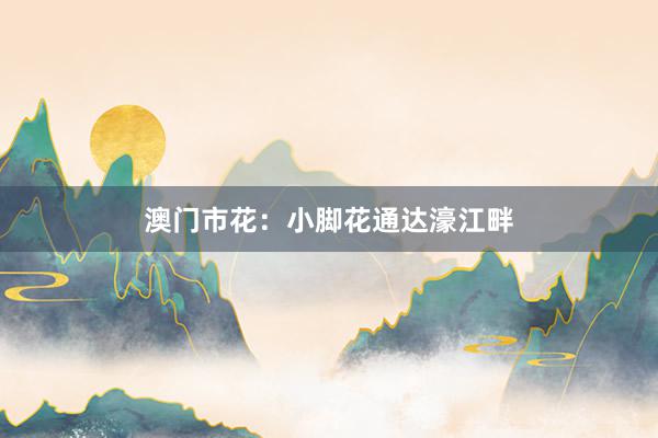澳门市花：小脚花通达濠江畔