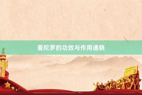 曼陀罗的功效与作用通晓